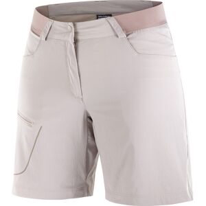 Salomon Women's Wayfarer Shorts Etherea, 40 Salomon Women's Wayfarer Shorts Etherea, 40