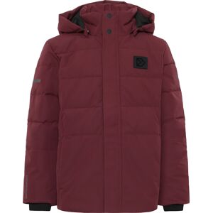 Didriksons Kids' Silikat Jacket Anemon Red, 150 Didriksons Kids' Silikat Jacket Anemon Red, 150
