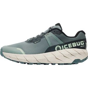 Icebug Women's Arcus RB9X Gore-Tex Green/Stone 38, Green/Stone