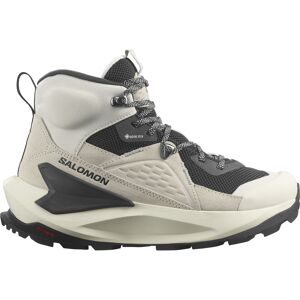 Salomon Women's Elixir Mid GORE-TEX Vanilla Ice/Phantom/Metal 40 2/3, Vanilla Ice/Phantom/Metal