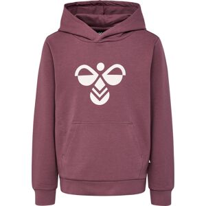 Hummel Kids' hmlCUATRO Hoodie Rose Brown 116, Rose Brown