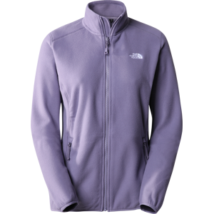 The North Face Women's 100 Glacier Full-Zip LUNAR SLATE XS, LUNAR SLATE