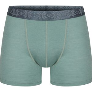 Gridarmor Men's Finse Merino Boxers Green Bay L, Green Bay