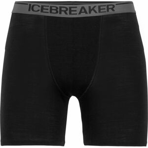 Icebreaker Men's Anatomica Long Boxers Black M, Black
