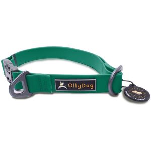 OllyDog Tilden Collar Teal L, Teal