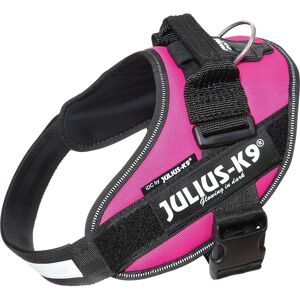 Julius-K9 Idc Harness Size 4 Dark Pink Size 4, Dark Pink