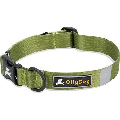 OllyDog Flagstaff Collar Cactus, Medium OllyDog Flagstaff Collar Cactus, Medium