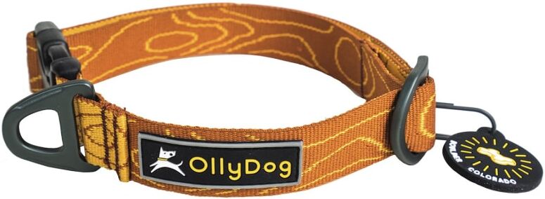 OllyDog Flagstaff Collar Orange Orange Small OllyDog Flagstaff Collar Orange Orange Small