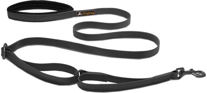 OllyDog Tilden Leash Sort Sort OneSize OllyDog Tilden Leash Sort Sort OneSize