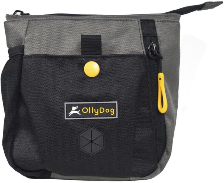 OllyDog Backcountry Day Bag Grå Grå OneSize