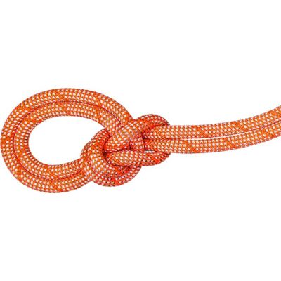 Mammut 9.8 Crag Classic Rope - Klatregreb - 70m Mammut 9.8 Crag Classic Rope - Klatregreb - 70m
