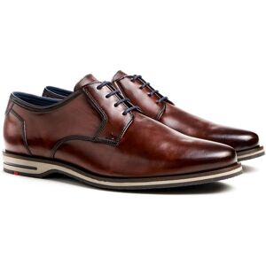 Lloyd Kamp Herre Xtrawide Brandy/marine Str. 39