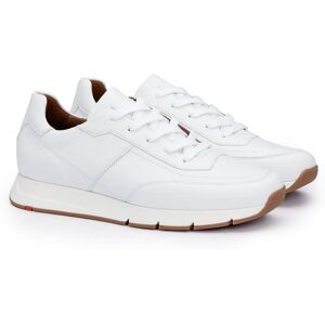 Lloyd Amsterdam Herre Sneaker White Str. 41 Lloyd Amsterdam Herre Sneaker White Str. 41