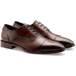 Lloyd Nobel 150 Herre Sko Dk Brown Str. 44,5 Lloyd Nobel 150 Herre Sko Dk Brown Str. 44,5