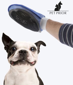 Børstehandske til hund og kat Børstehandske til hund og kat