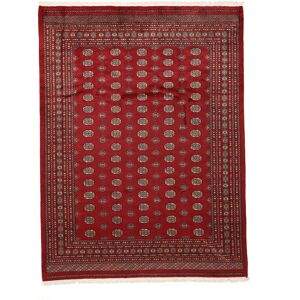 Håndknyttet. Oprindelse: Pakistan Pakistan Bokhara 3ply Tæppe 255x338