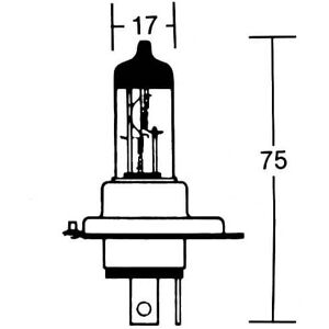 Paaschburg & Wunderlich GmbH H4 glødelampe 12V 60/55W P43t