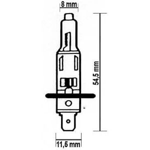 Paaschburg & Wunderlich GmbH H1 glødelampe 12V 55W P14,5s