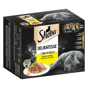 Sheba 12x85g Selection Delikatesser i gelé Fjerkrævariation Sheba kattemad