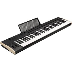 Korg Keystage 61