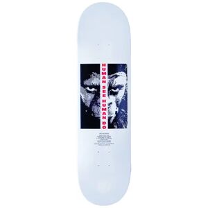 Element Pota Skateboard Deck (Arise)