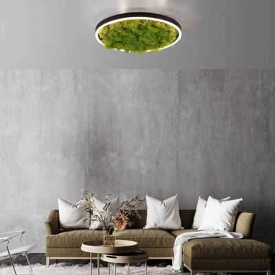 JUST LIGHT. GmbH LED loftslampe Green Ritus, dæmpbar, Grøn, Stue/spisestue, Moderne JUST LIGHT. GmbH LED loftslampe Green Ritus, dæmpbar, Grøn, Stue/spisestue, Moderne