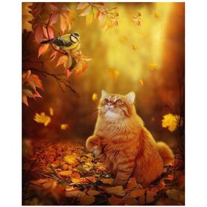 Tbutik 5D DIY diamantmaleri Woods Cat Full Round Broderi Craft Wall Art Gift til boligindretning