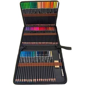 Colouring pencils Roymart Artist Premium Case Multicolour