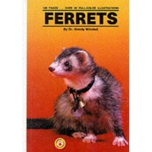 MediaTronixs Ferrets by Winsted, Wendy