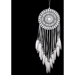 Shoppo Marte Creative Hand-Woven Crafts Dream Catcher Home Car Wall Hanging Decoration(White)