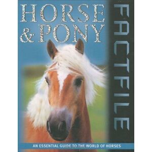 MediaTronixs Horse and Pony Factfile by Ransford, Sandy