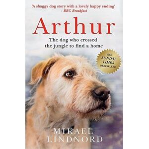 MediaTronixs Arthur: dog who crossed jungle to find a home by Lindnord, Mikael