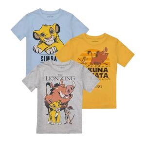 The Lion King Simba Timon & Pumba T-shirt til drenge