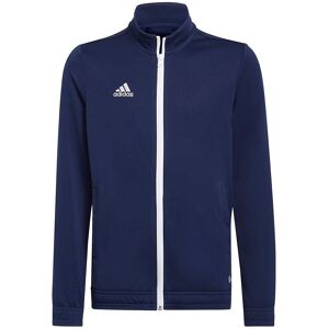 Adidas Jakke Entrada 22 Blå 7-8 Years