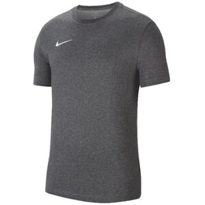 Nike Dri-Fit Park 20 Tee CW6952-071, Mand, T-shirt, Grå