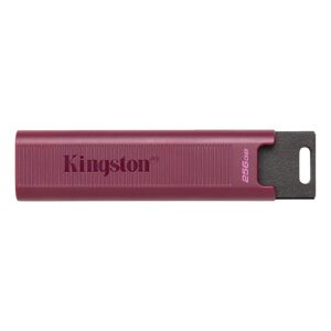 Kingston 256GB DataTraveler Max Type-A