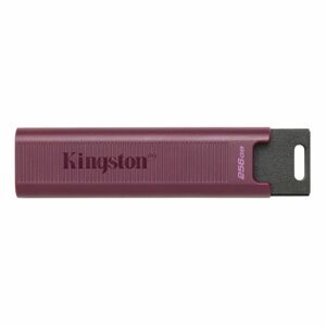 USB-stik   Kingston Max         Rød 256 GB