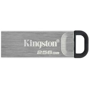 USB-stik Kingston DTKN/256GB Sort 256 GB