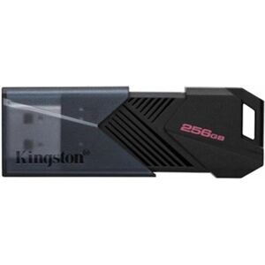 USB-stik Kingston DTXON/256GB Sort 256 GB