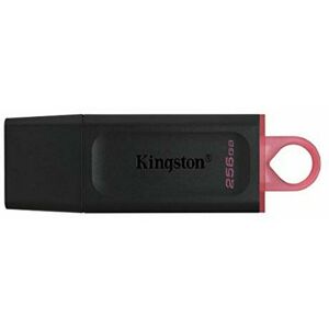 USB-stik Kingston DTX/256GB Sort 256 GB