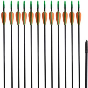 vidaXL standard recurve buepile 30 0,6 cm glasfiber 12 stk.