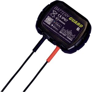 Intact GL10 Battery-Guard Batteriovervågning 12 V Bluetooth®-forbindelse, App-kompatibel, Ladeovervågning 15 mm x 60 mm