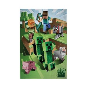 Minecraft Battle Fleece Creeper-tæppe