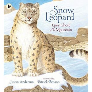 MediaTronixs Snow Leopard: Grey Ghost of Mou…, Anderson, Justi