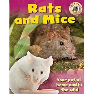 MediaTronixs Rats and Mice (Pets Plus), Morgan, Sally