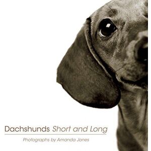 MediaTronixs Dachshunds Short and Long by Amanda Jones