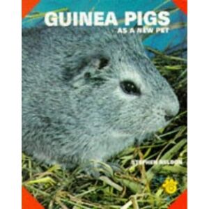 MediaTronixs Guinea Pigs as a New Pet, Stephen Nelson