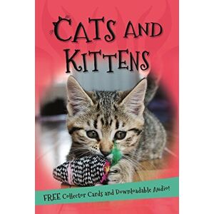 MediaTronixs It’s all about… Cats and Kittens by Kingfisher