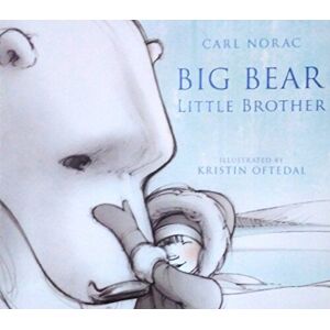 MediaTronixs Big Bear Little Brother by Carl Norac