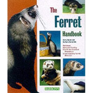 MediaTronixs The Ferret Hand (Pet Hands) by Somerville, Barbara